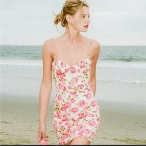 NWT Zara Preppy Rose Dress